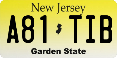 NJ license plate A81TIB