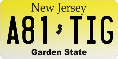 NJ license plate A81TIG