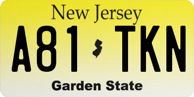 NJ license plate A81TKN