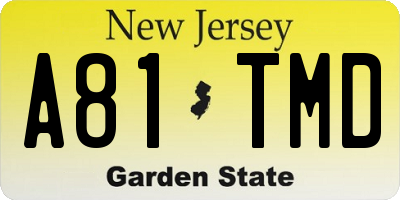NJ license plate A81TMD