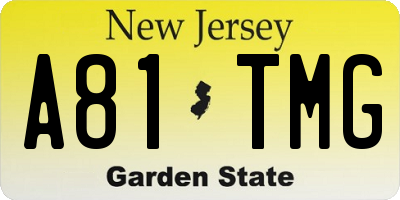 NJ license plate A81TMG
