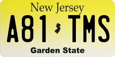 NJ license plate A81TMS