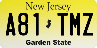NJ license plate A81TMZ