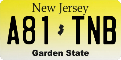 NJ license plate A81TNB