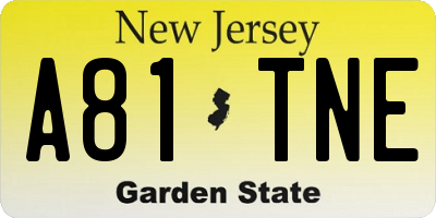 NJ license plate A81TNE