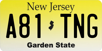 NJ license plate A81TNG