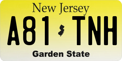 NJ license plate A81TNH
