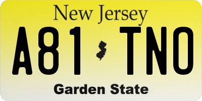 NJ license plate A81TNO