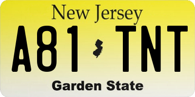 NJ license plate A81TNT