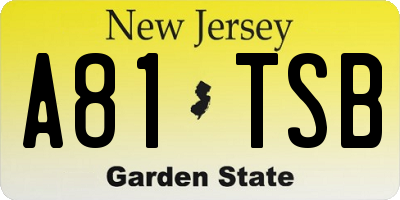 NJ license plate A81TSB
