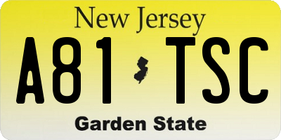 NJ license plate A81TSC