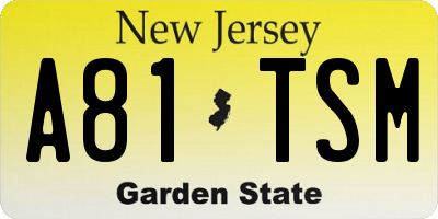 NJ license plate A81TSM