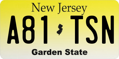NJ license plate A81TSN