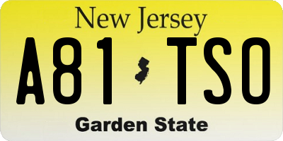 NJ license plate A81TSO