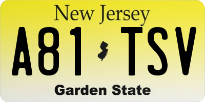 NJ license plate A81TSV