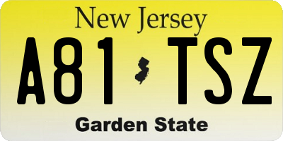 NJ license plate A81TSZ