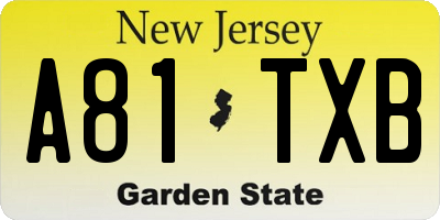 NJ license plate A81TXB