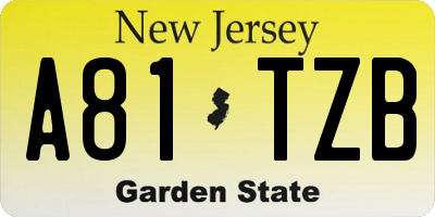 NJ license plate A81TZB