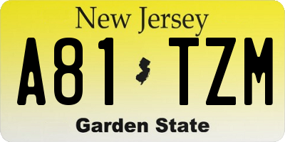 NJ license plate A81TZM