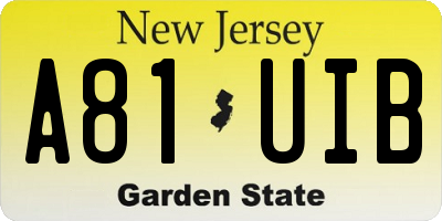 NJ license plate A81UIB