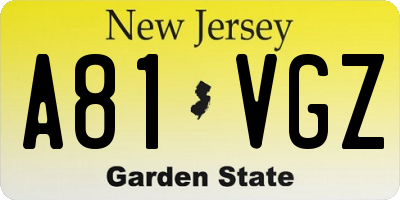 NJ license plate A81VGZ