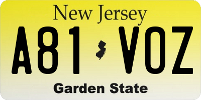 NJ license plate A81VOZ