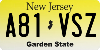 NJ license plate A81VSZ