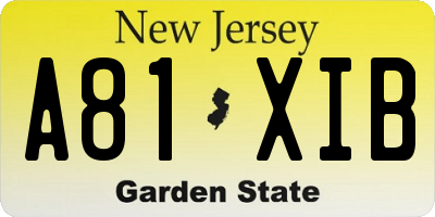 NJ license plate A81XIB