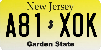 NJ license plate A81XOK