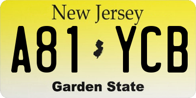 NJ license plate A81YCB