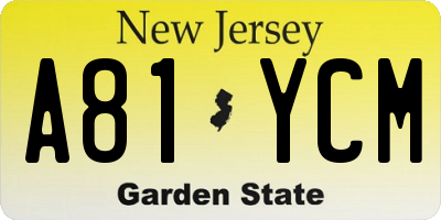 NJ license plate A81YCM