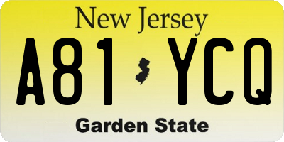 NJ license plate A81YCQ