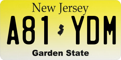 NJ license plate A81YDM