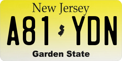 NJ license plate A81YDN