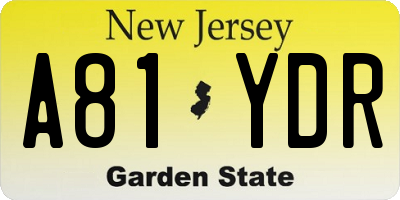 NJ license plate A81YDR