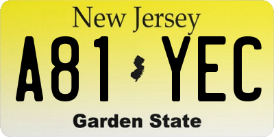 NJ license plate A81YEC