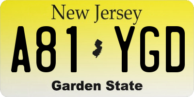 NJ license plate A81YGD