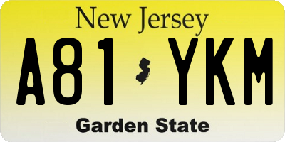NJ license plate A81YKM