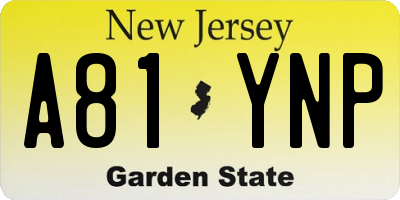 NJ license plate A81YNP