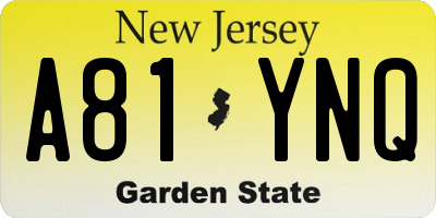 NJ license plate A81YNQ