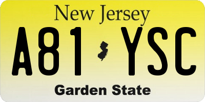 NJ license plate A81YSC