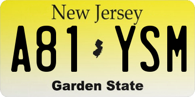 NJ license plate A81YSM