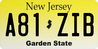 NJ license plate A81ZIB