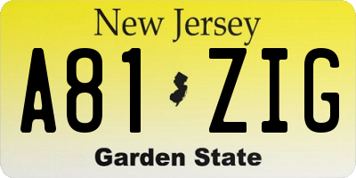 NJ license plate A81ZIG