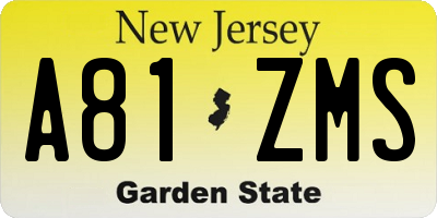 NJ license plate A81ZMS