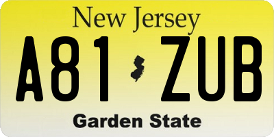 NJ license plate A81ZUB