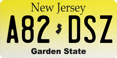NJ license plate A82DSZ