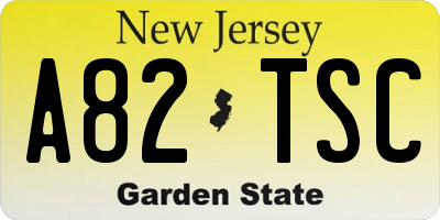 NJ license plate A82TSC