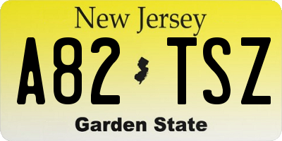 NJ license plate A82TSZ