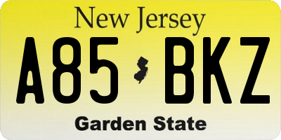 NJ license plate A85BKZ